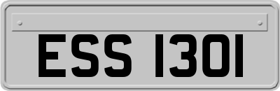 ESS1301