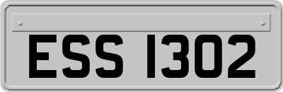 ESS1302