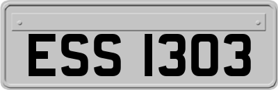 ESS1303