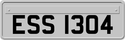 ESS1304