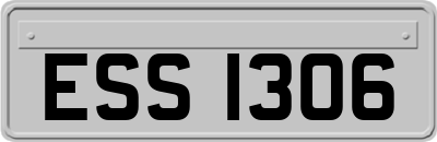 ESS1306
