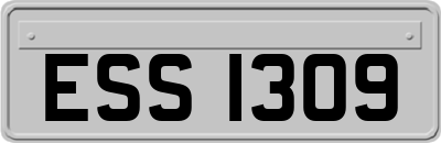 ESS1309