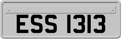 ESS1313