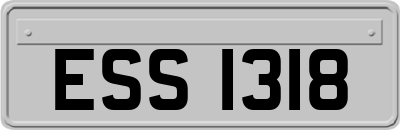 ESS1318
