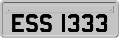 ESS1333
