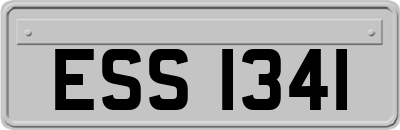 ESS1341