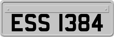 ESS1384