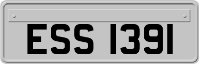 ESS1391