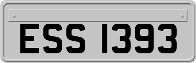 ESS1393