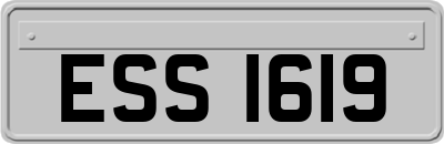 ESS1619