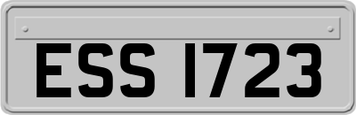 ESS1723