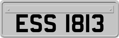 ESS1813