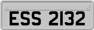 ESS2132