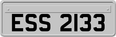 ESS2133