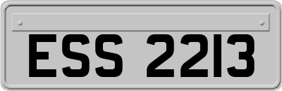 ESS2213