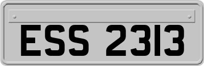 ESS2313