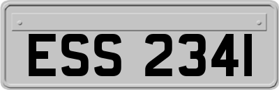 ESS2341