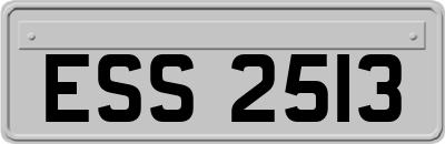 ESS2513