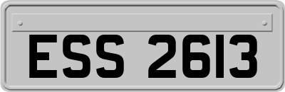ESS2613