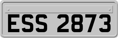 ESS2873