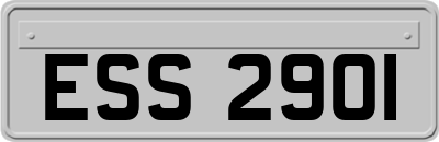 ESS2901