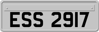 ESS2917