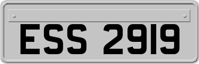 ESS2919