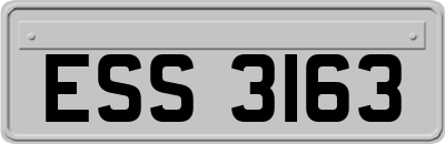 ESS3163