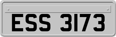 ESS3173
