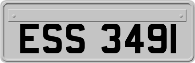 ESS3491