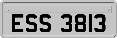 ESS3813