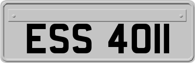 ESS4011