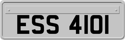 ESS4101