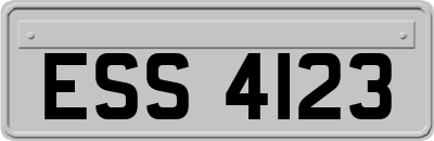 ESS4123