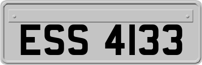 ESS4133