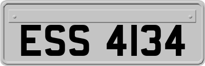 ESS4134
