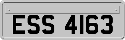 ESS4163