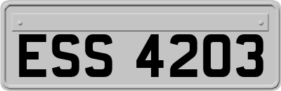 ESS4203