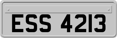 ESS4213