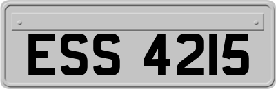 ESS4215