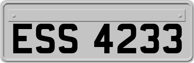 ESS4233