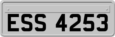 ESS4253