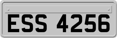 ESS4256