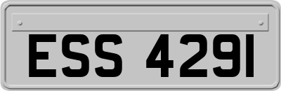 ESS4291