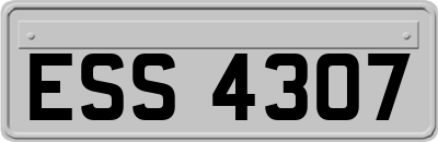 ESS4307