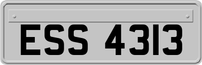 ESS4313