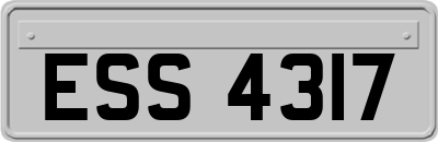 ESS4317
