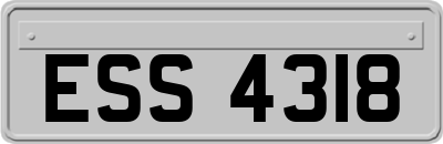 ESS4318