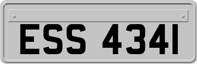 ESS4341