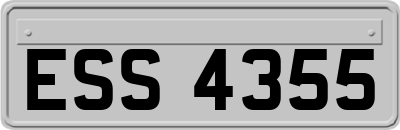 ESS4355